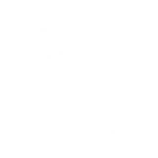 Ikon - rengjort hus